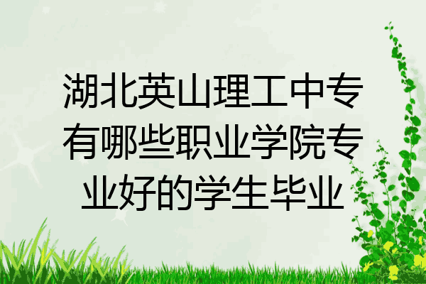 湖北英山理工中专有哪些职业学院专业好的学生毕业