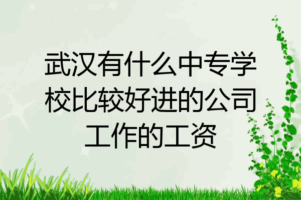 武汉有什么中专学校比较好进的公司工作的工资