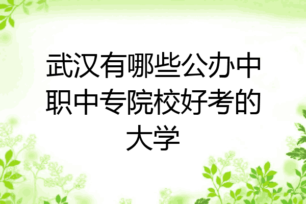 武汉有哪些公办中职中专院校好考的大学