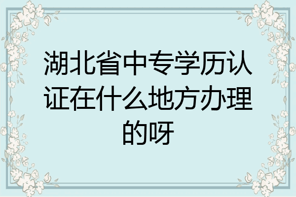 湖北省中专学历认证在什么地方办理的呀