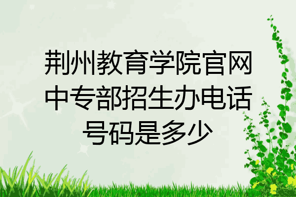 荆州教育学院官网中专部招生办电话号码是多少