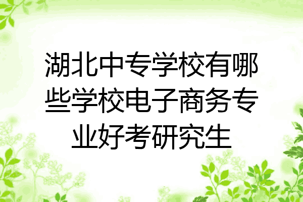 湖北中专学校有哪些学校电子商务专业好考研究生