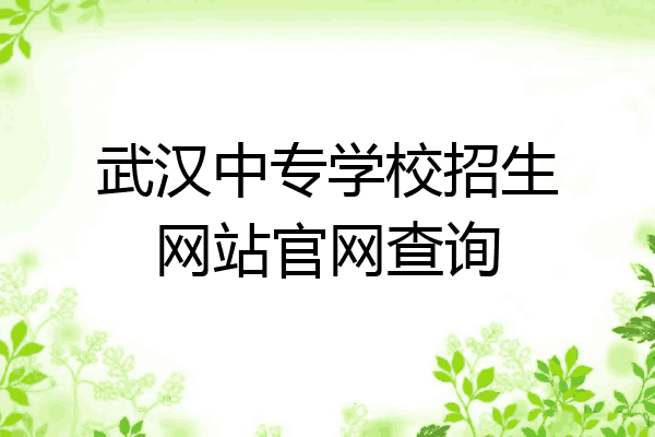 武汉中专学校招生网站官网查询