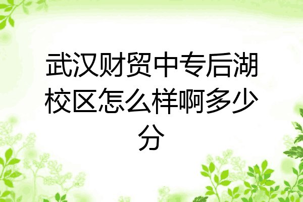 武汉财贸中专后湖校区怎么样啊多少分