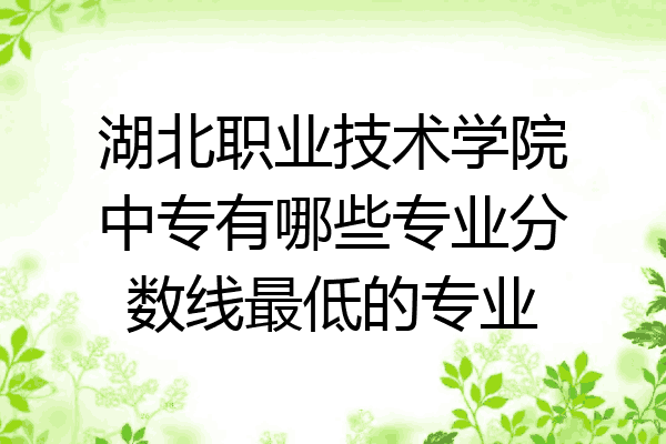 湖北职业技术学院中专有哪些专业分数线最低的专业