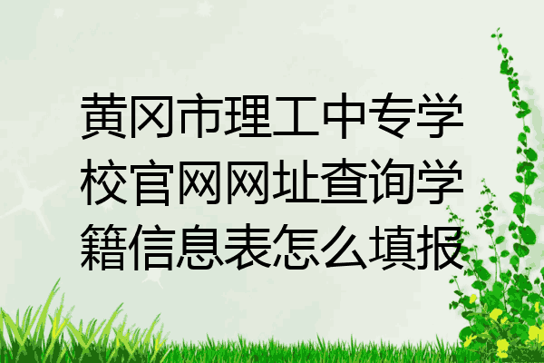 黄冈市理工中专学校官网网址查询学籍信息表怎么填报