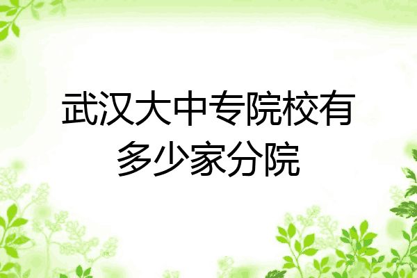 武汉大中专院校有多少家分院