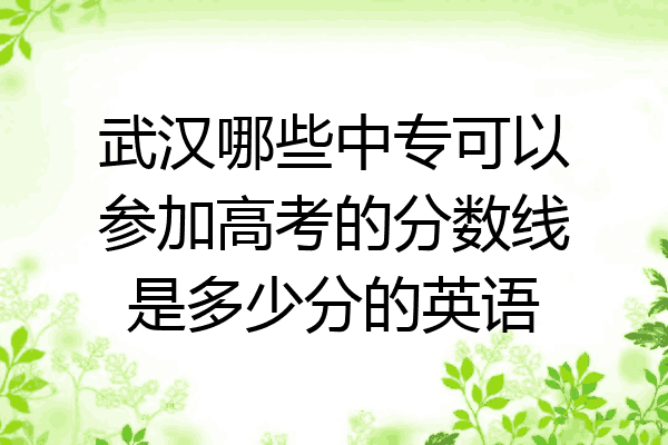 武汉哪些中专可以参加高考的分数线是多少分的英语
