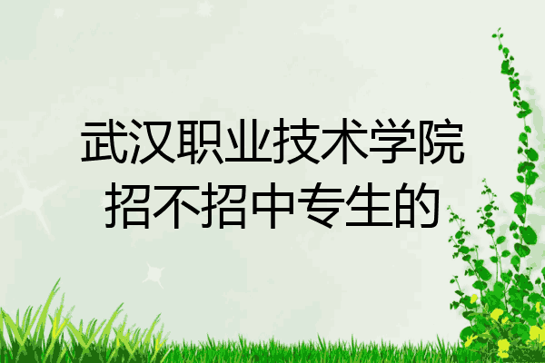 武汉职业技术学院招不招中专生的