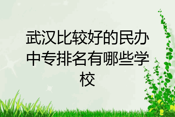 武汉比较好的民办中专排名有哪些学校