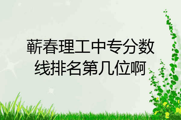 蕲春理工中专分数线排名第几位啊