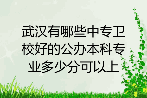 武汉有哪些中专卫校好的公办本科专业多少分可以上