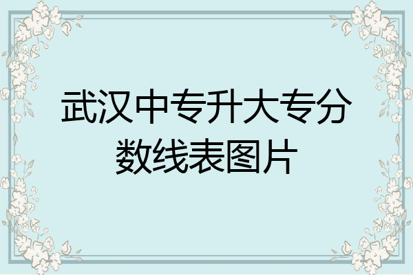 武汉中专升大专分数线表图片