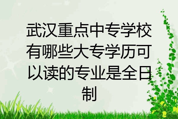 武汉重点中专学校有哪些大专学历可以读的专业是全日制