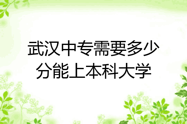 武汉中专需要多少分能上本科大学