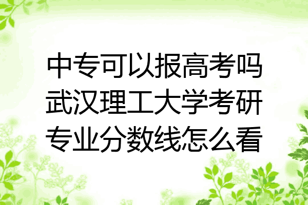 中专可以报高考吗武汉理工大学考研专业分数线怎么看