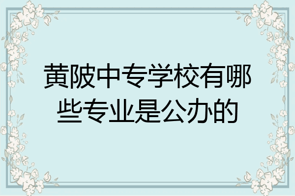 黄陂中专学校有哪些专业是公办的
