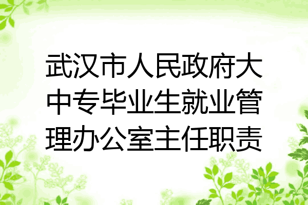 武汉市人民政府大中专毕业生就业管理办公室主任职责