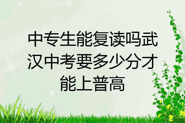 中专生能复读吗武汉中考要多少分才能上普高