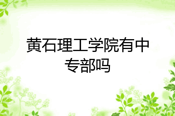 黄石理工学院有中专部吗