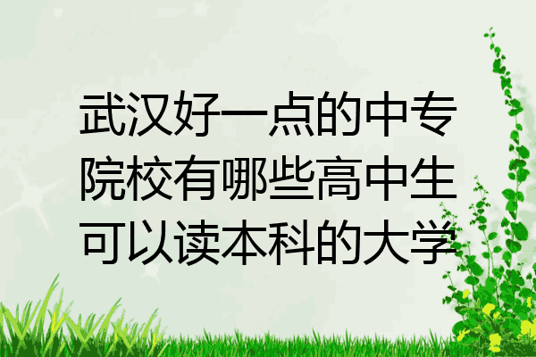 武汉好一点的中专院校有哪些高中生可以读本科的大学
