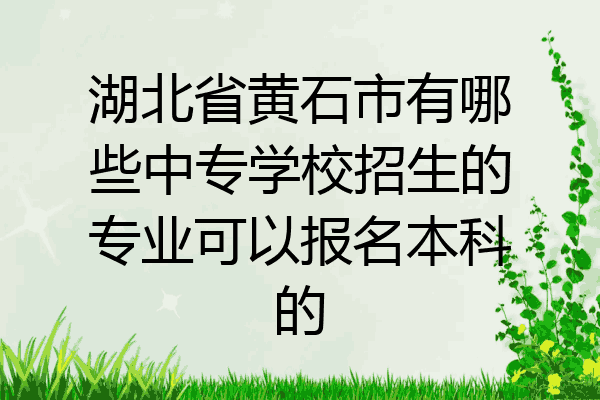 湖北省黄石市有哪些中专学校招生的专业可以报名本科的