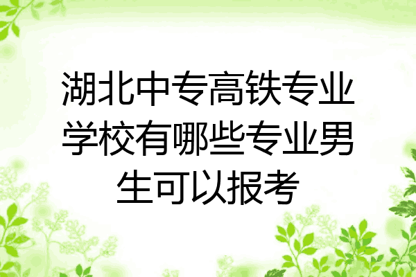 湖北中专高铁专业学校有哪些专业男生可以报考