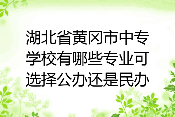 湖北省黄冈市中专学校有哪些专业可选择公办还是民办