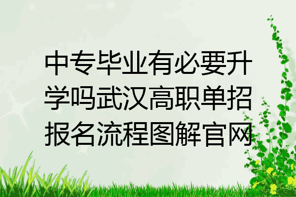中专毕业有必要升学吗武汉高职单招报名流程图解官网