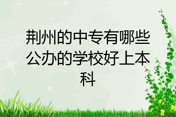 荆州的中专有哪些公办的学校好上本科