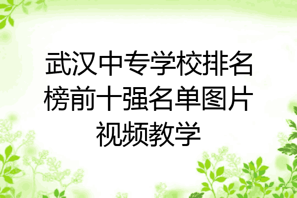 武汉中专学校排名榜前十强名单图片视频教学