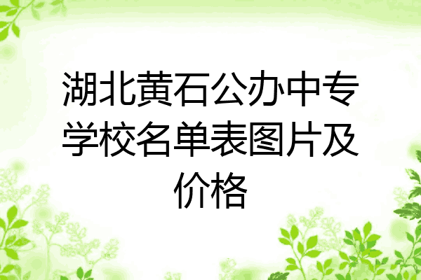 湖北黄石公办中专学校名单表图片及价格