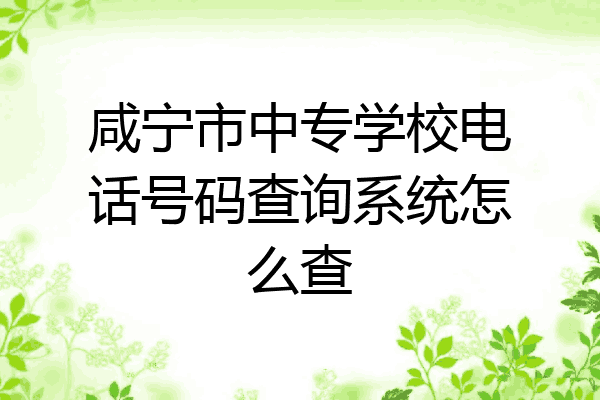 咸宁市中专学校电话号码查询系统怎么查