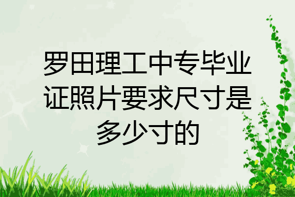 罗田理工中专毕业证照片要求尺寸是多少寸的