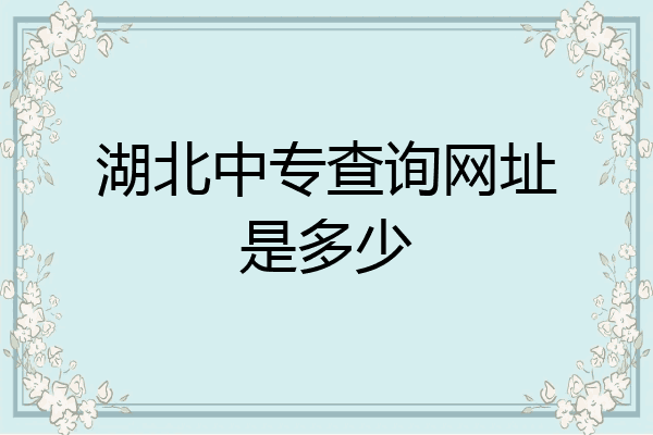 湖北中专查询网址是多少