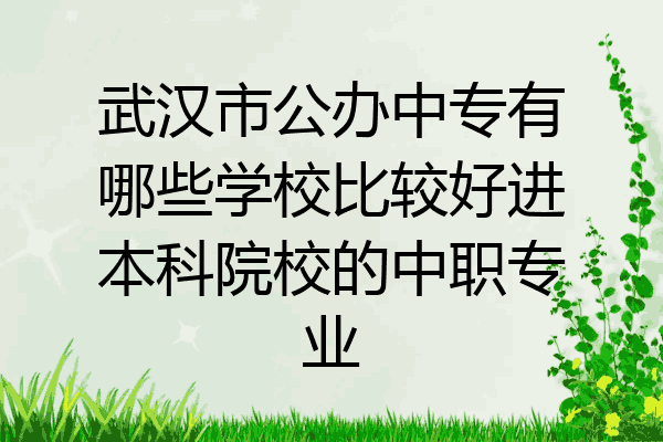 武汉市公办中专有哪些学校比较好进本科院校的中职专业