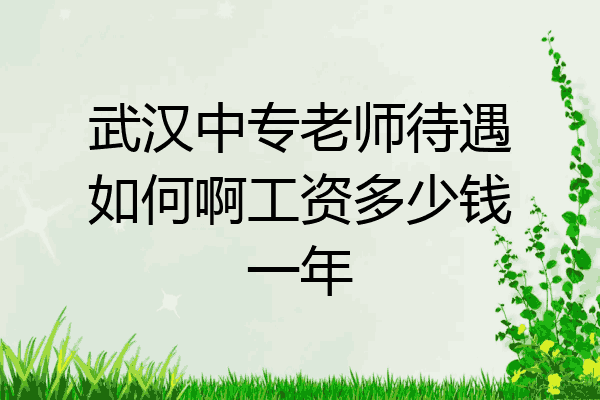 武汉中专老师待遇如何啊工资多少钱一年