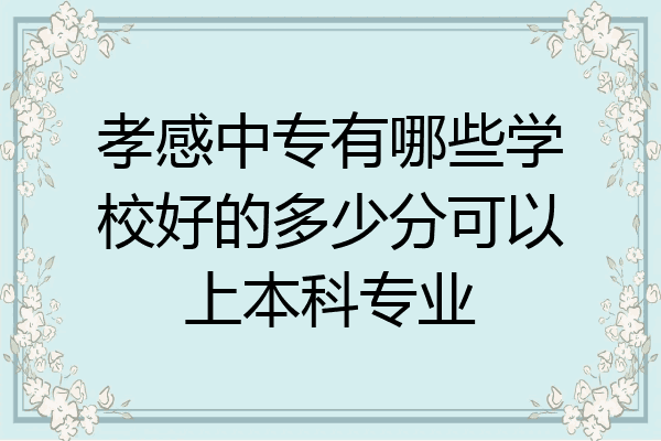 孝感中专有哪些学校好的多少分可以上本科专业