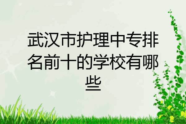 武汉市护理中专排名前十的学校有哪些