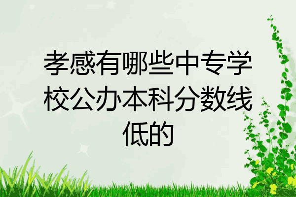 孝感有哪些中专学校公办本科分数线低的