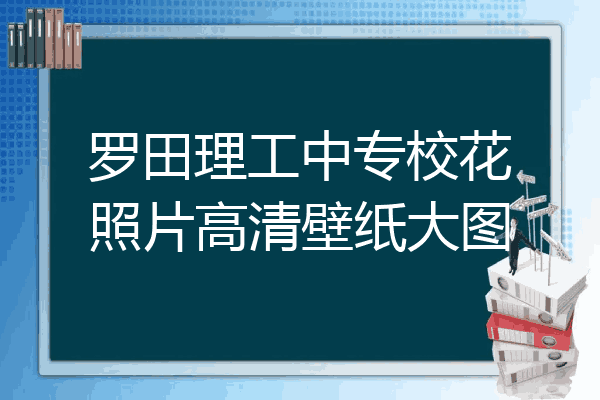 罗田理工中专校花照片高清壁纸大图