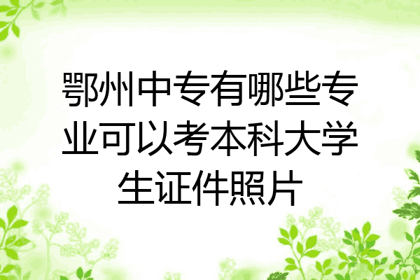 鄂州中专有哪些专业可以考本科大学生证件照片