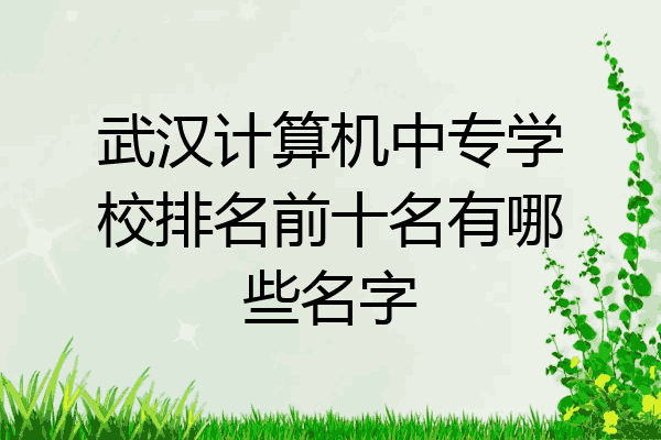 武汉计算机中专学校排名前十名有哪些名字