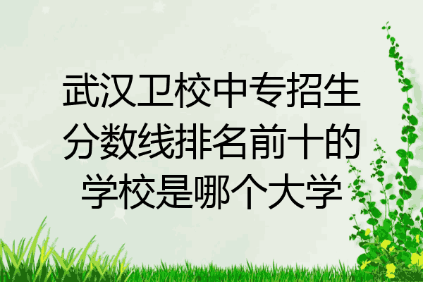 武汉卫校中专招生分数线排名前十的学校是哪个大学