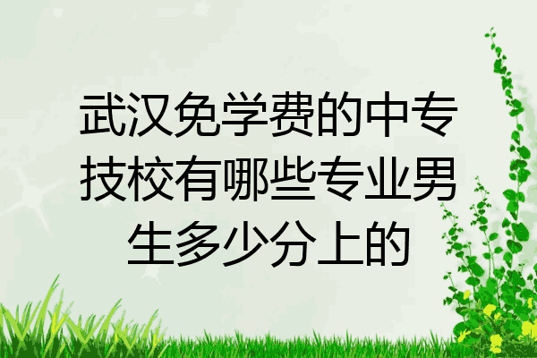 武汉免学费的中专技校有哪些专业男生多少分上的