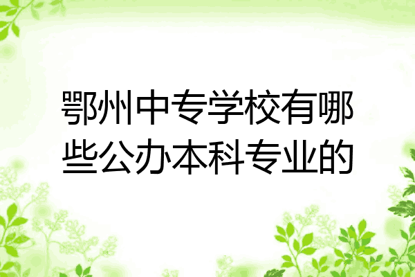 鄂州中专学校有哪些公办本科专业的