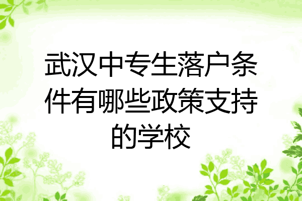 武汉中专生落户条件有哪些政策支持的学校