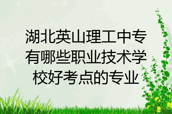 湖北英山理工中专有哪些职业技术学校好考点的专业