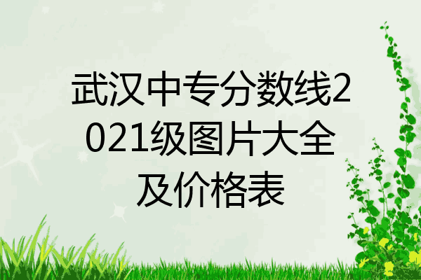 武汉中专分数线2021级图片大全及价格表