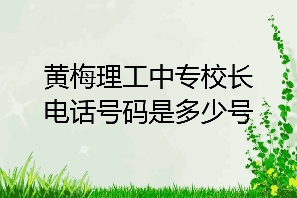 黄梅理工中专校长电话号码是多少号